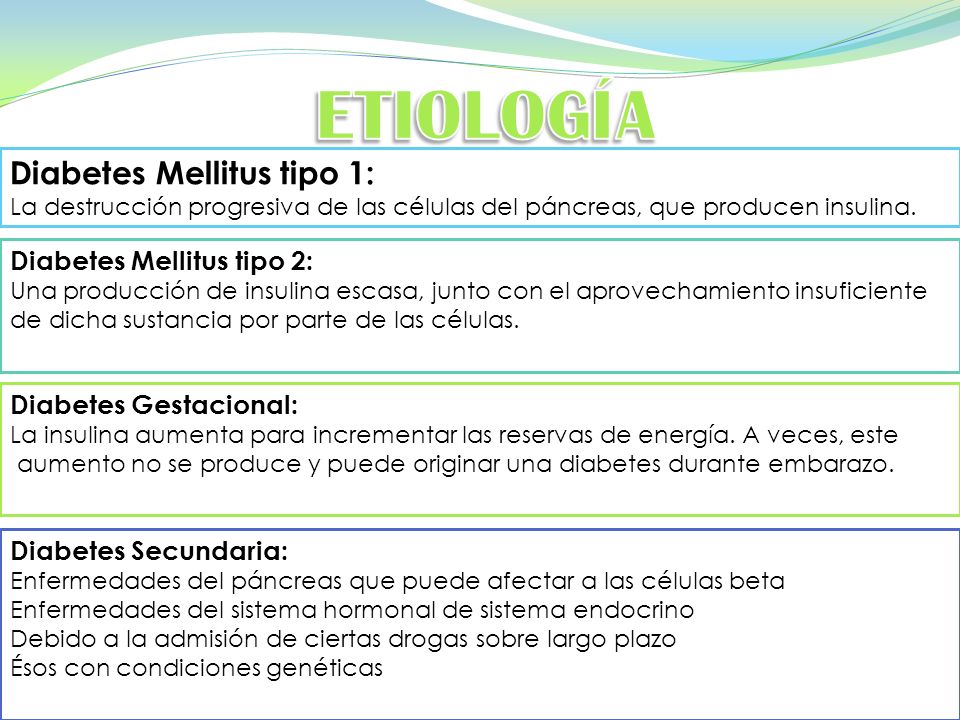 como se desarrolla la diabetes mellitus tipo 2 como se desarrolla la diabetes mellitus tipo 2